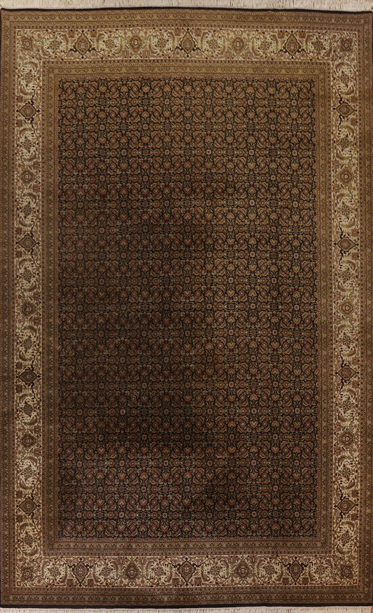 Handmade Agra Oriental Large Area Rug 10x14