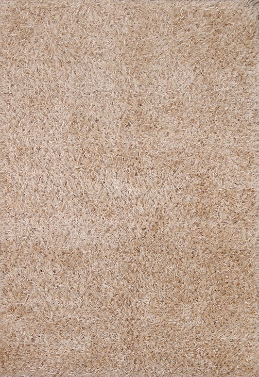 Plush Shaggy Oriental Area Rug 4x6