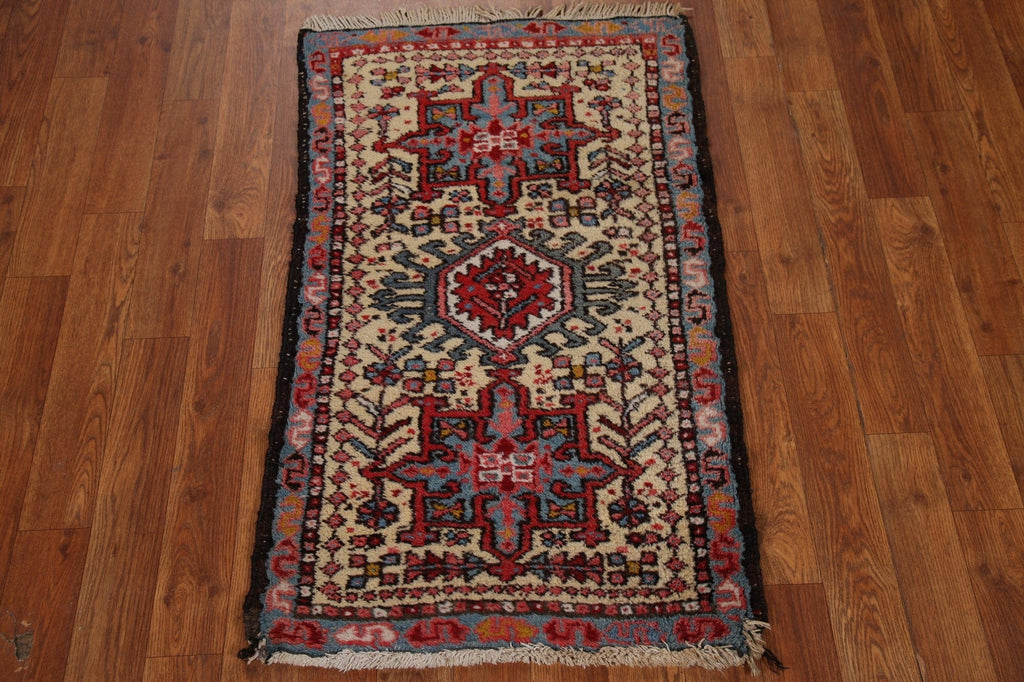 Vegetable Dye Gharajeh Persian Area Rug 2x3