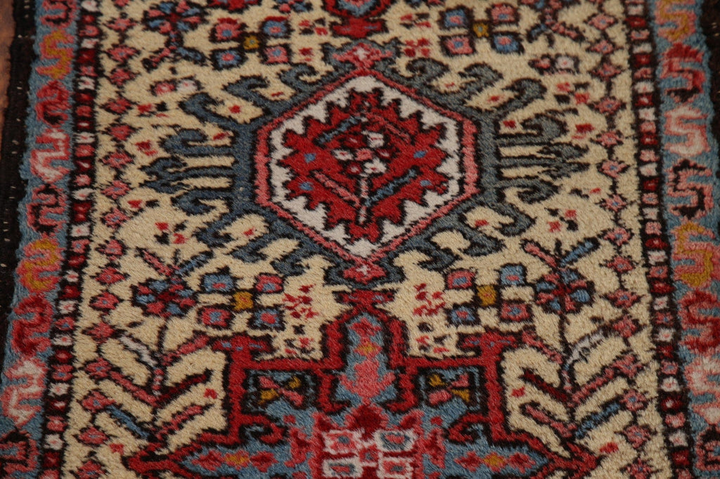 Vegetable Dye Gharajeh Persian Area Rug 2x3