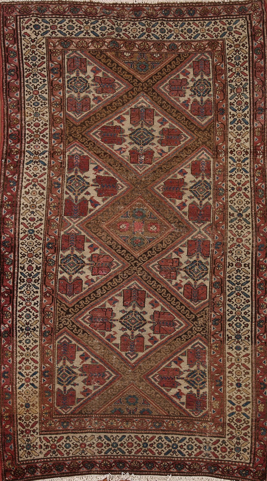 Pre-1900 Antique Vegetable Dye Malayer Persian Rug 3x6