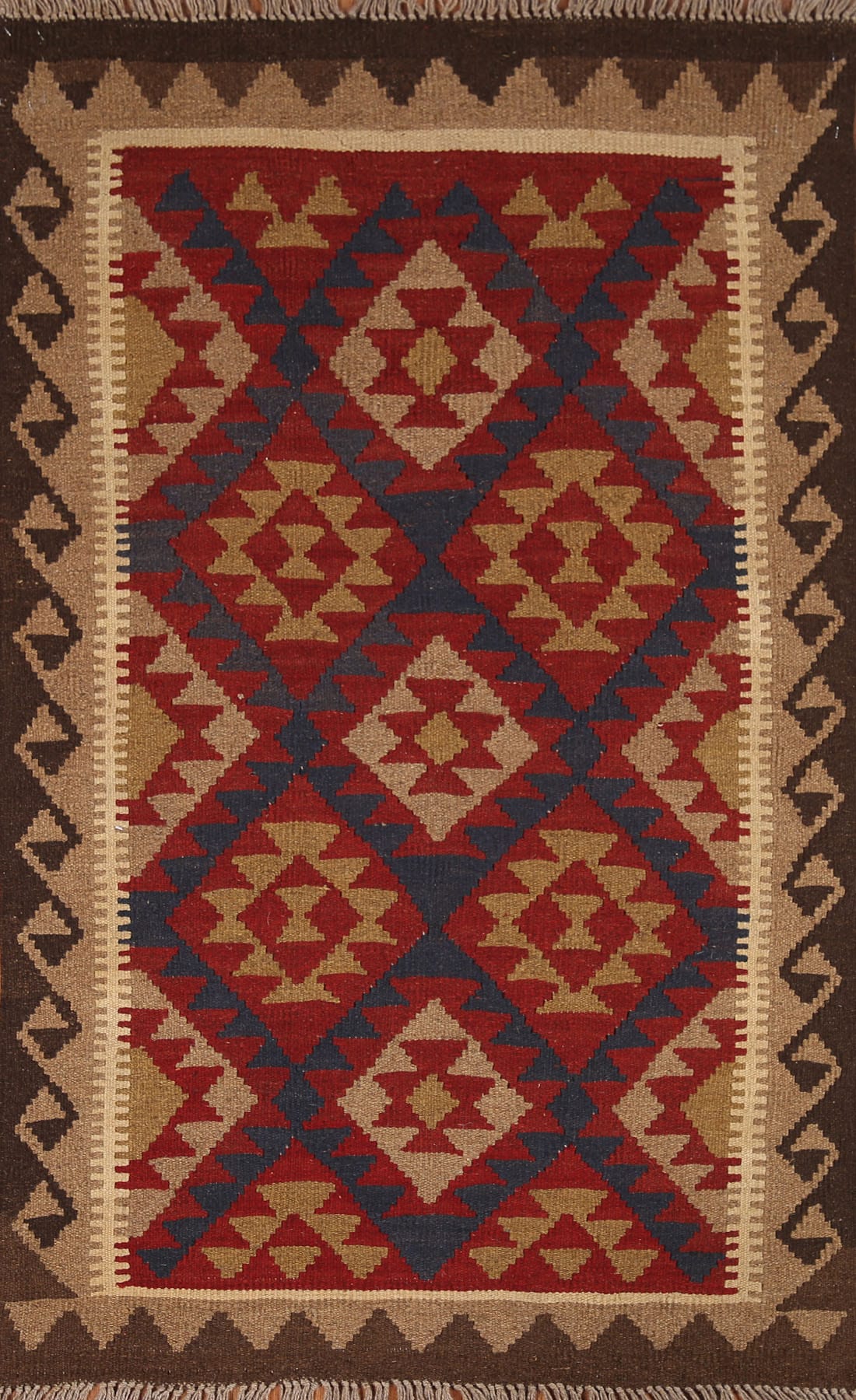 Reversible Kilim Oriental Area Rug 3x5