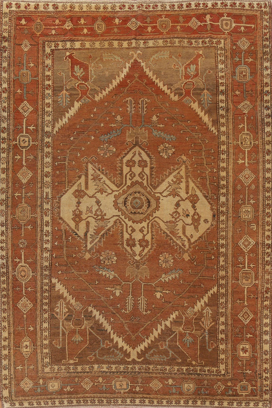 Pre-1900 Antique Heriz Serapi Vegetable Dye Persian Rug 9x12