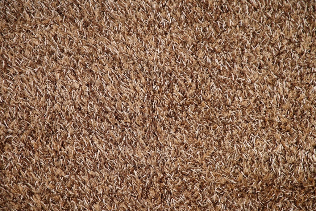 Plush Shaggy Contemporary Area Rug 5x8