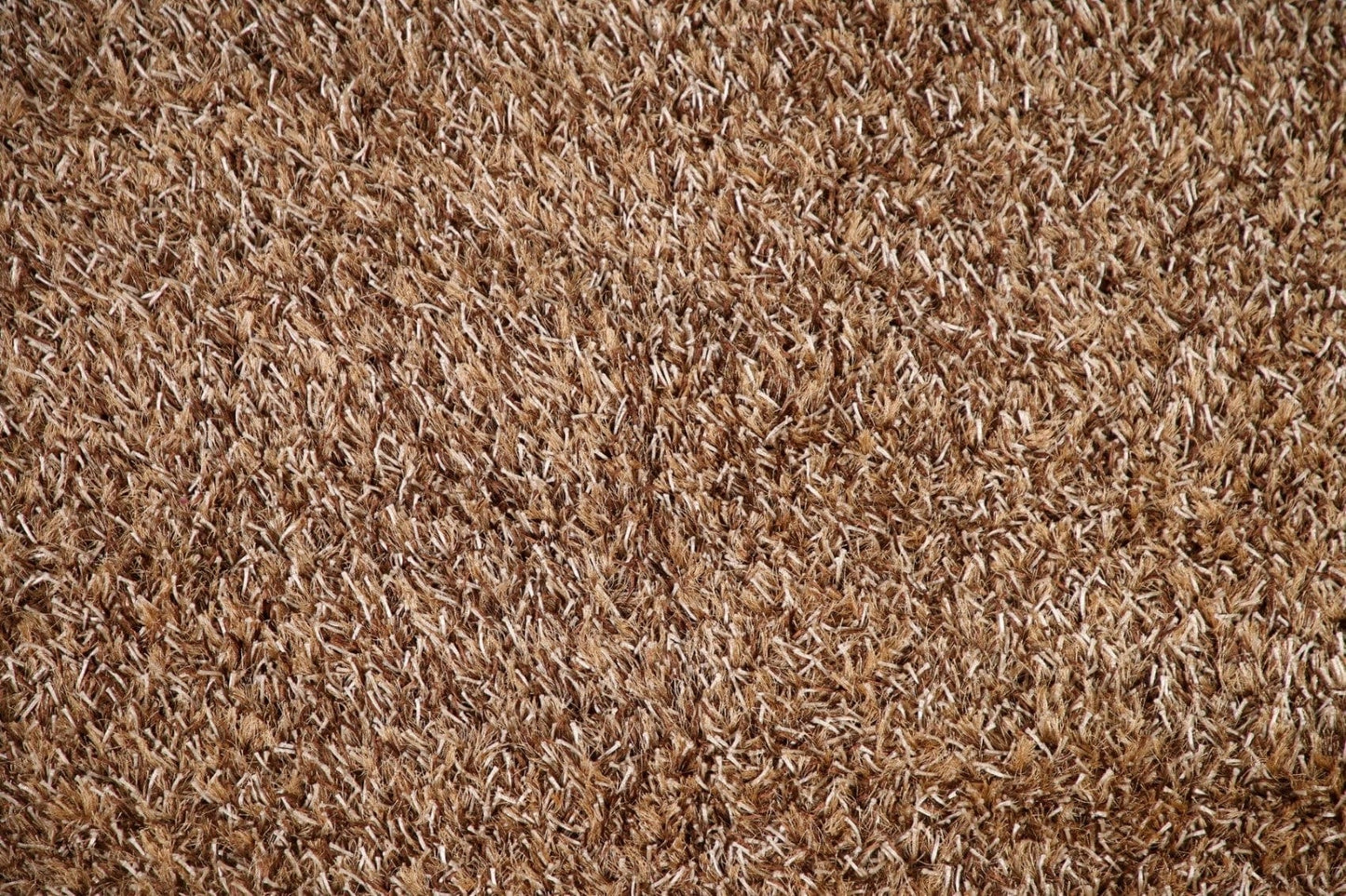 Plush Shaggy Contemporary Area Rug 5x8