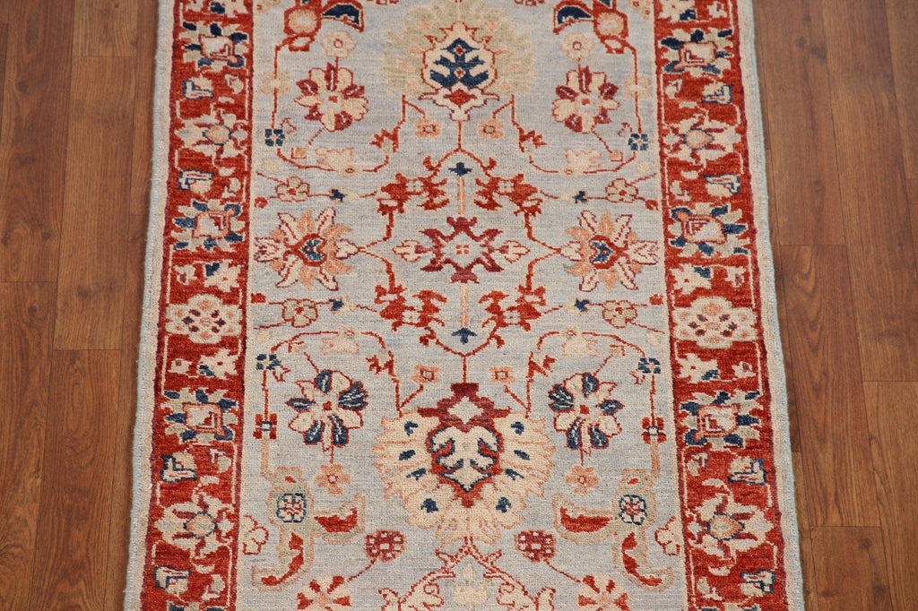 Vegetable Dye Ziegler Oriental Runner Rug 3x10