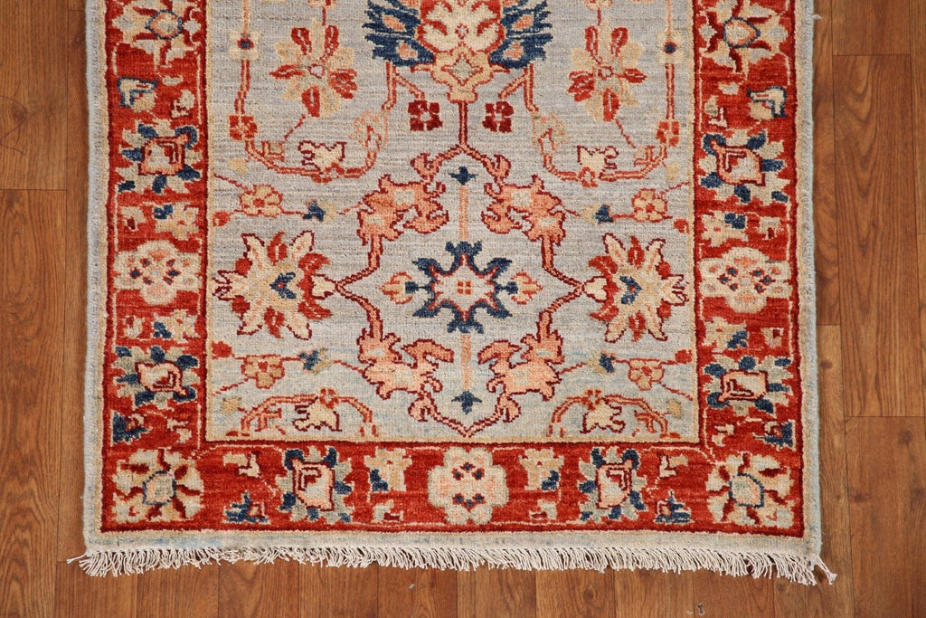 Vegetable Dye Ziegler Oriental Runner Rug 3x10