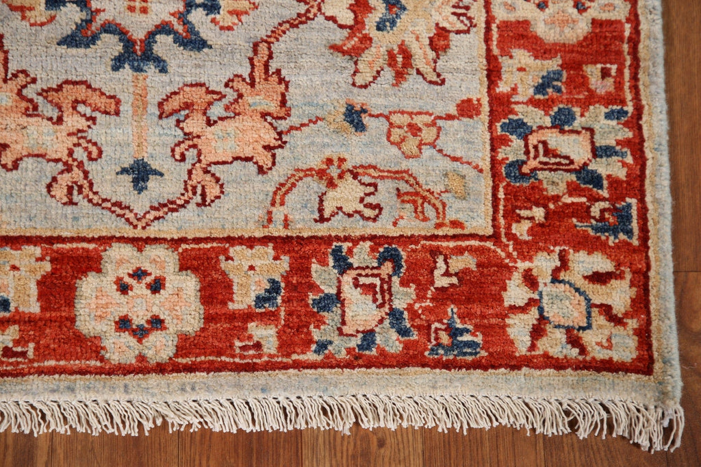 Vegetable Dye Ziegler Oriental Runner Rug 3x10