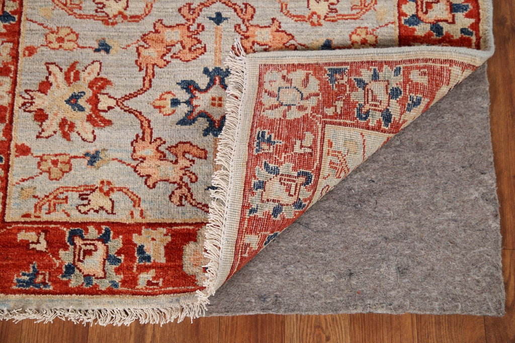 Vegetable Dye Ziegler Oriental Runner Rug 3x10