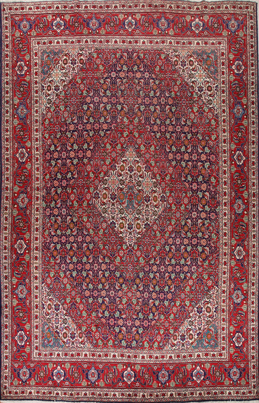 Tabriz Persian Area Rug 10x13