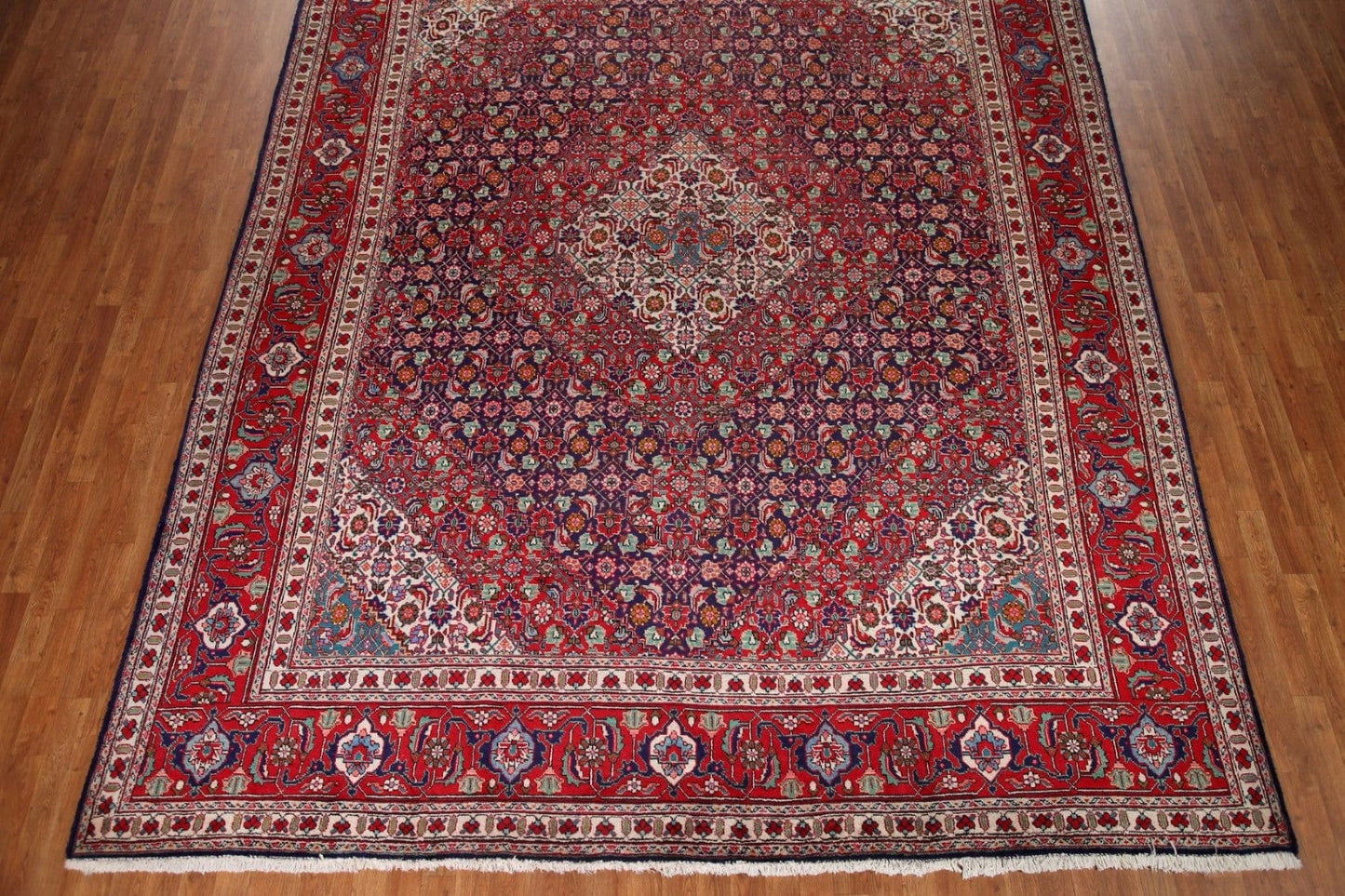 Tabriz Persian Area Rug 10x13