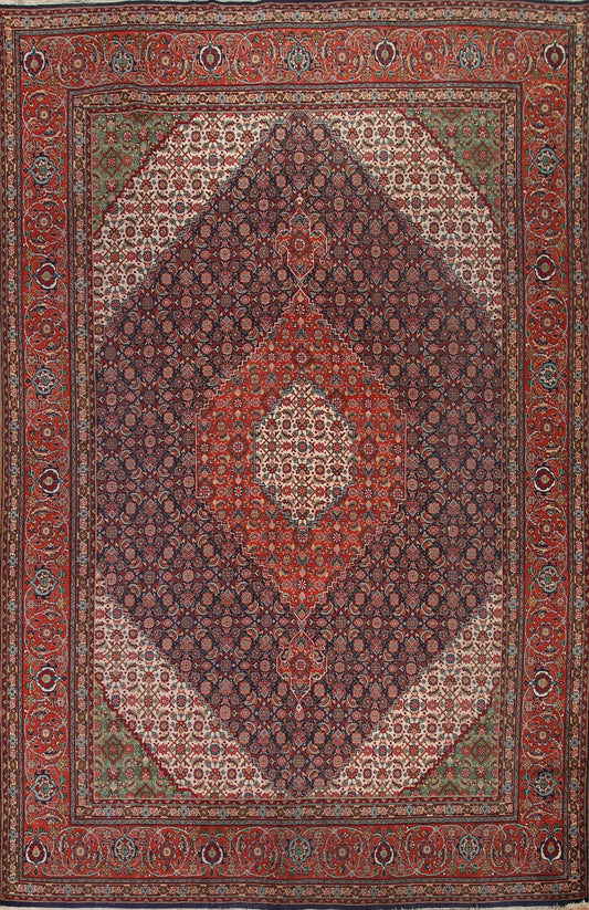 Tabriz Persian Area Rug 10x13