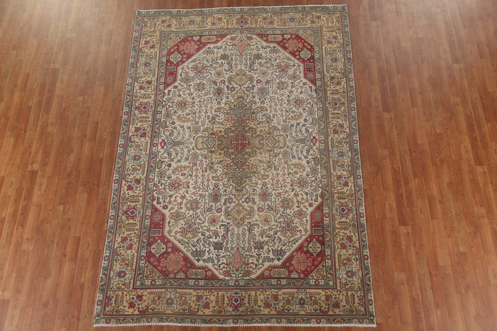 Ivory Wool Tabriz Persian Area Rug 6x9