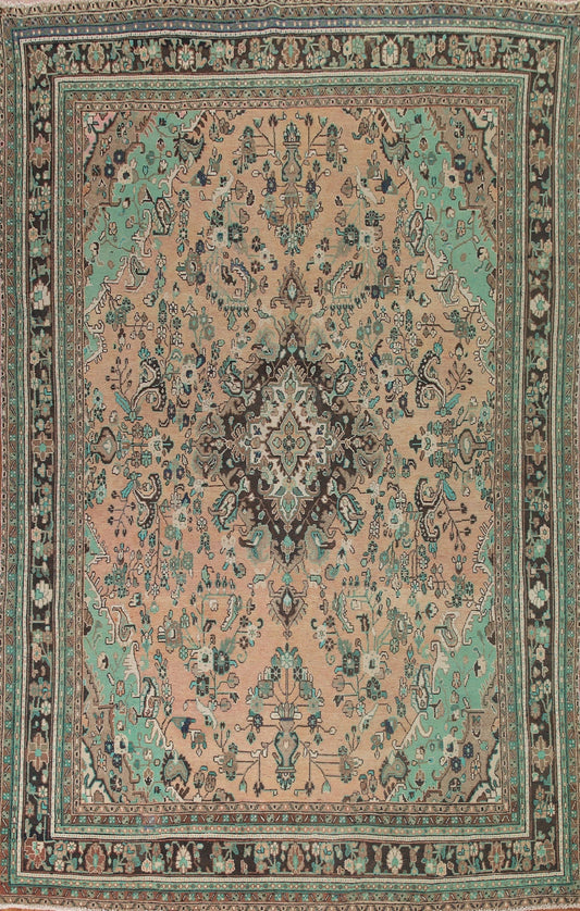 Traditional Hamedan Persian Area Rug 10x13
