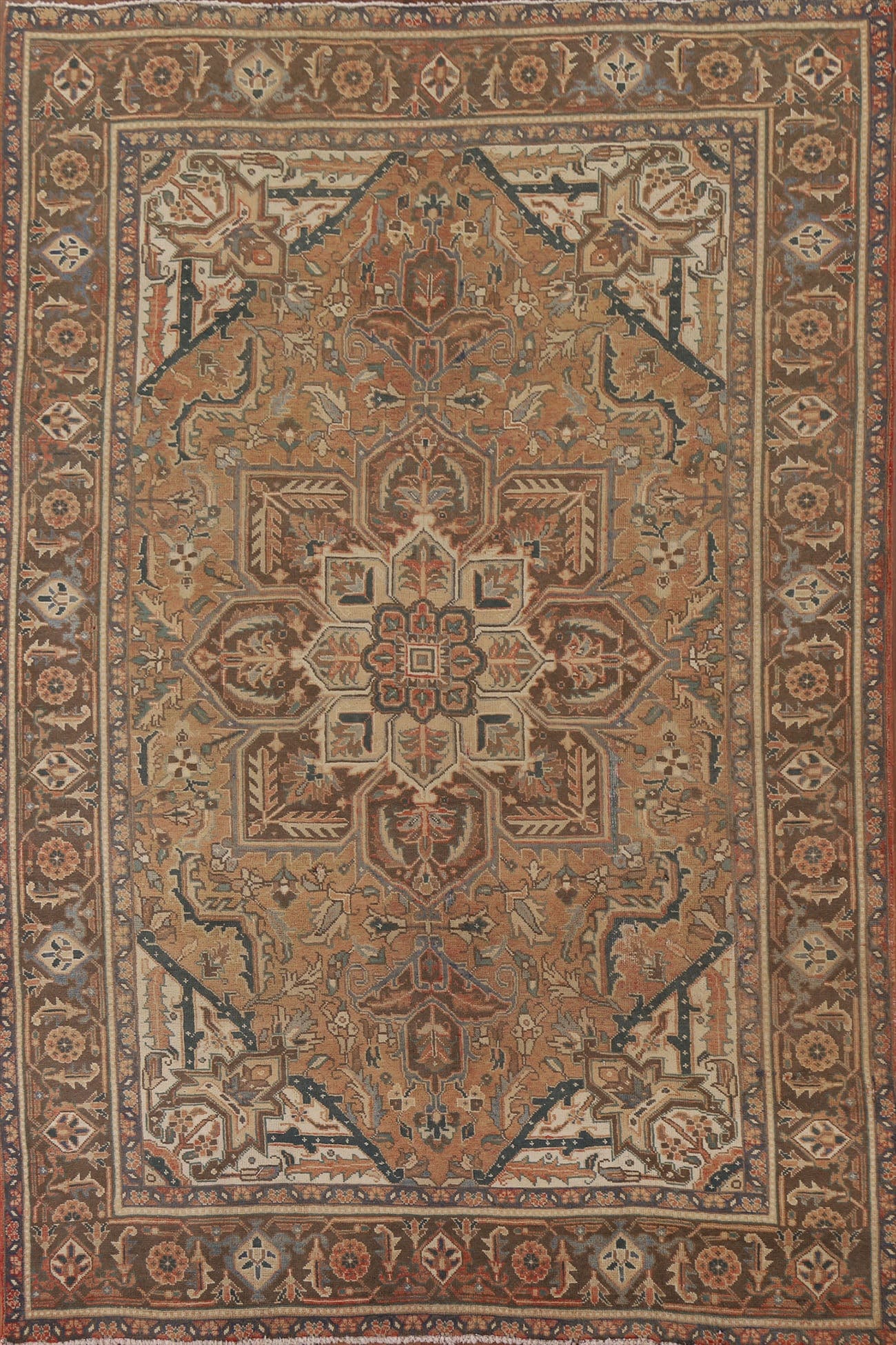 Geometric Heriz Persian Area Rug 7x10