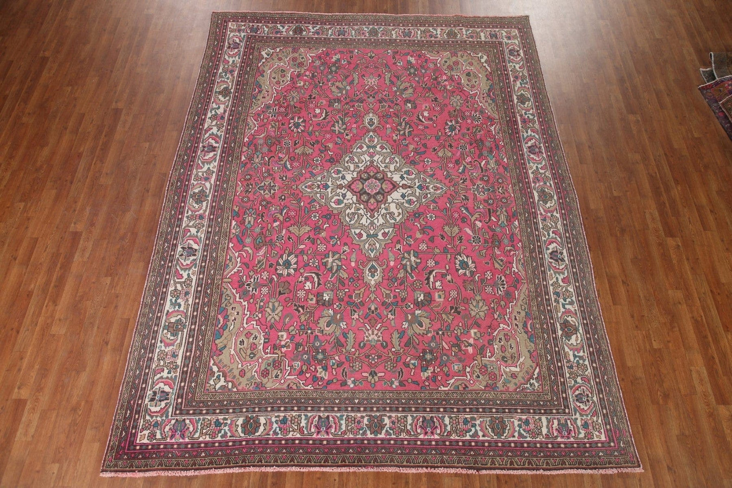 Pink Hamedan Persian Area Rug 8x11