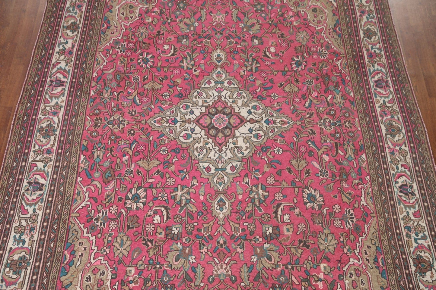 Pink Hamedan Persian Area Rug 8x11