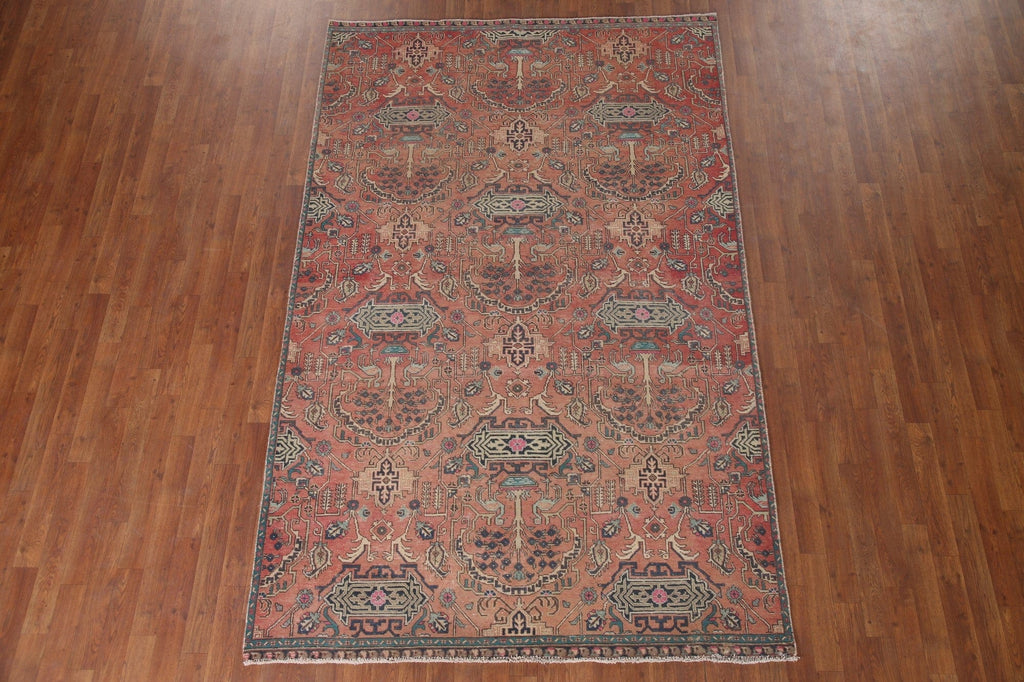 Animal Pictorial Tabriz Persian Area Rug 6x9