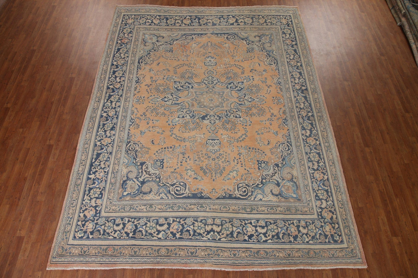 Vegetable Dye Mashad Persian Area Rug 10x13