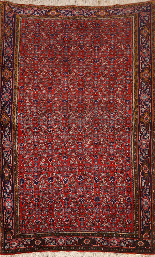 Vegetable Dye Bidjar Persian Area Rug 4x6