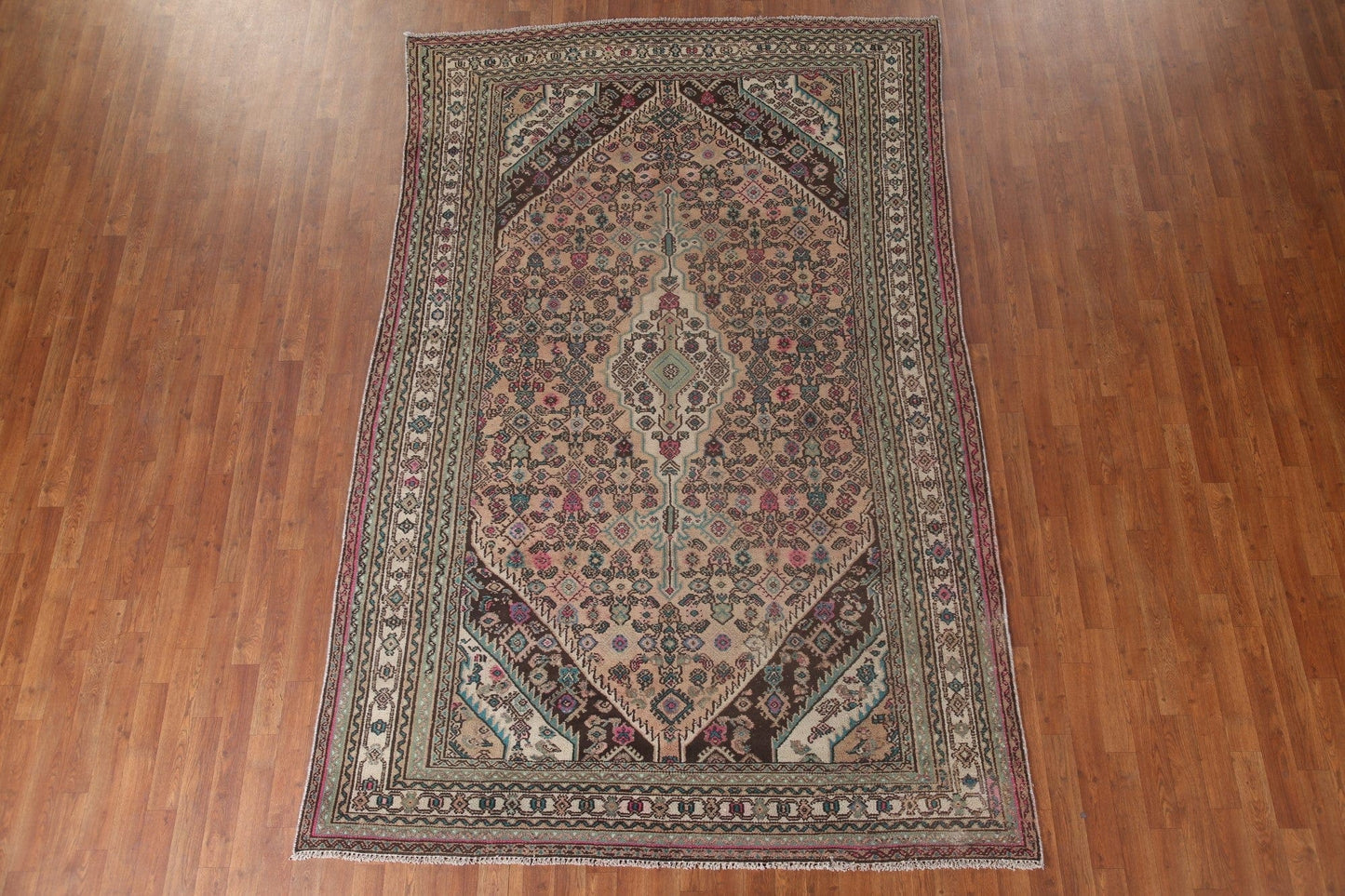 Distressed Hamedan Persian Area Rug 6x10