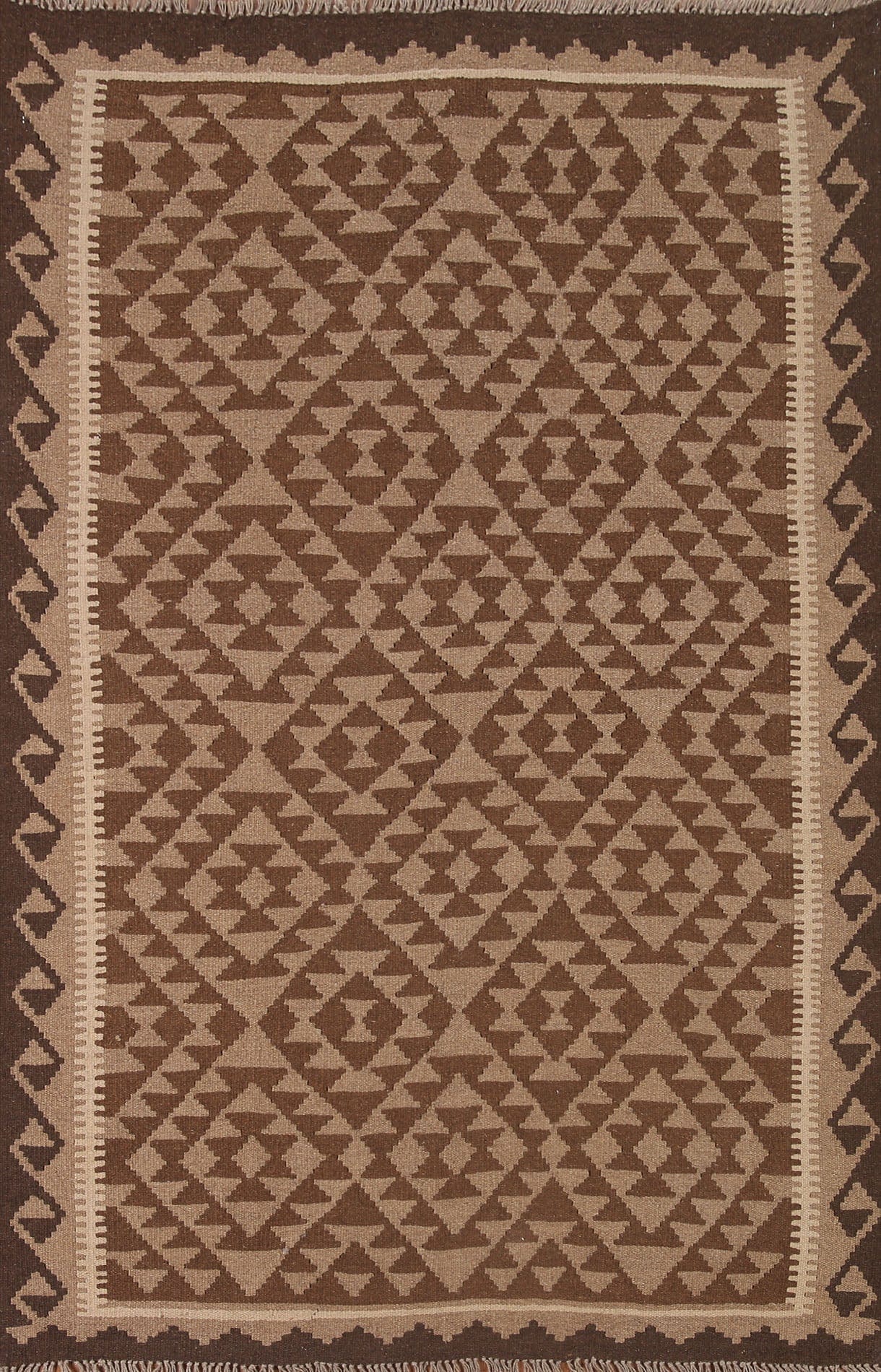 Reversible Wool Kilim Oriental Area Rug 5x7