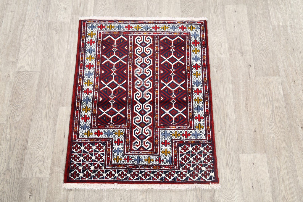 Geometric 3x4 Turkoman Persian Area Rug