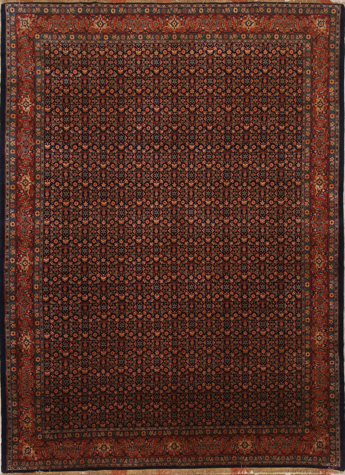 All Over Geometric 7x10 Senneh Persian Area Rug