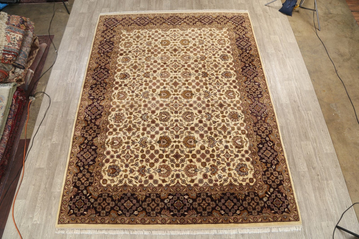 9x12 Agra Oriental Area Rug