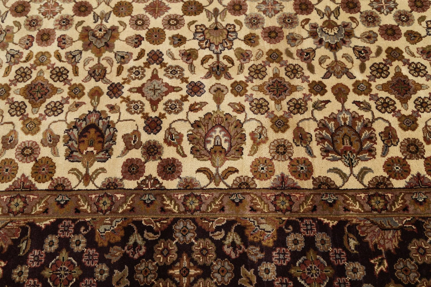 9x12 Agra Oriental Area Rug