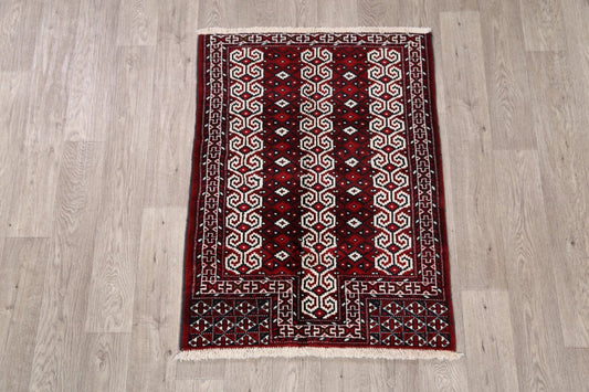 2x4 Turkoman Persian Area Rug