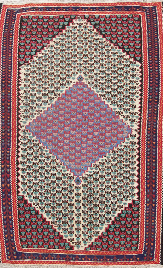 Geometric 4x6 Senneh Persian Area Rug