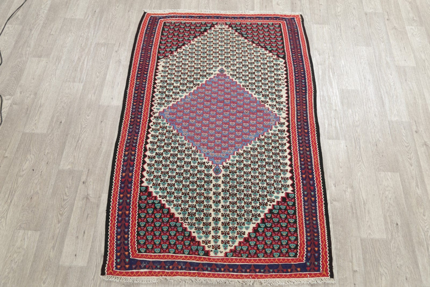 Geometric 4x6 Senneh Persian Area Rug