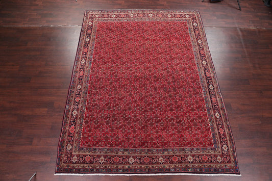 All-Over Floral Bidjar Persian Area Rug 9x12