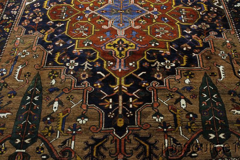 Antique 12x17 Bakhtiari Persian Rug