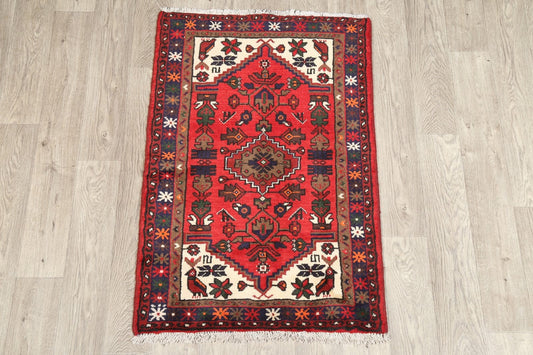 Tribal Hamedan Persian Wool Rug 3x4