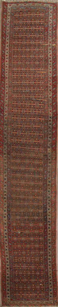 Pre-1900 Vegetable Dye Bidjar Persian Hand-Knotted 3x16 Wool Runner Rug