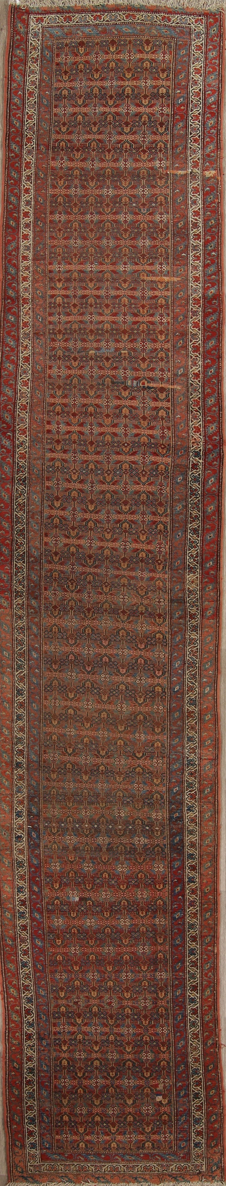 Pre-1900 Vegetable Dye Bidjar Persian Hand-Knotted 3x16 Wool Runner Rug