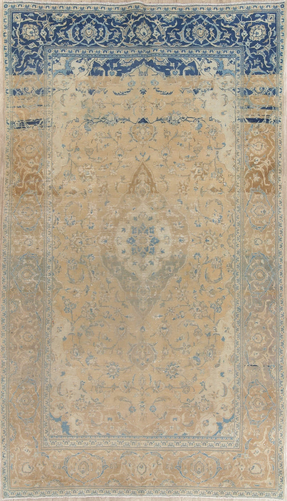 Muted Distressed Kashan Persian Area Rug 6x11