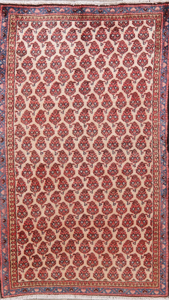 All-Over Mahal Persian Wool Runner Rugs 3x6