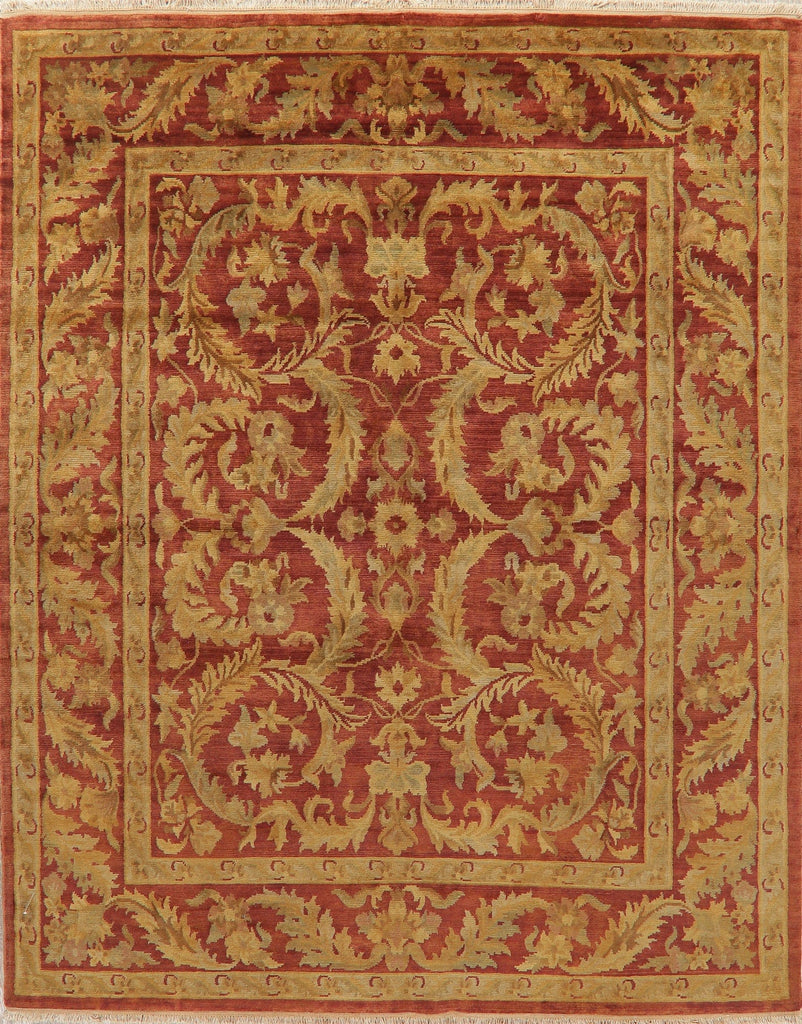 Floral Red Agra Indian Oriental Wool Rug 8x10