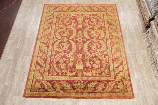 Floral Red Agra Indian Oriental Wool Rug 8x10