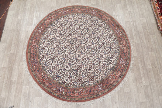 Bidjar Indian Wool Rug 8x8 Round