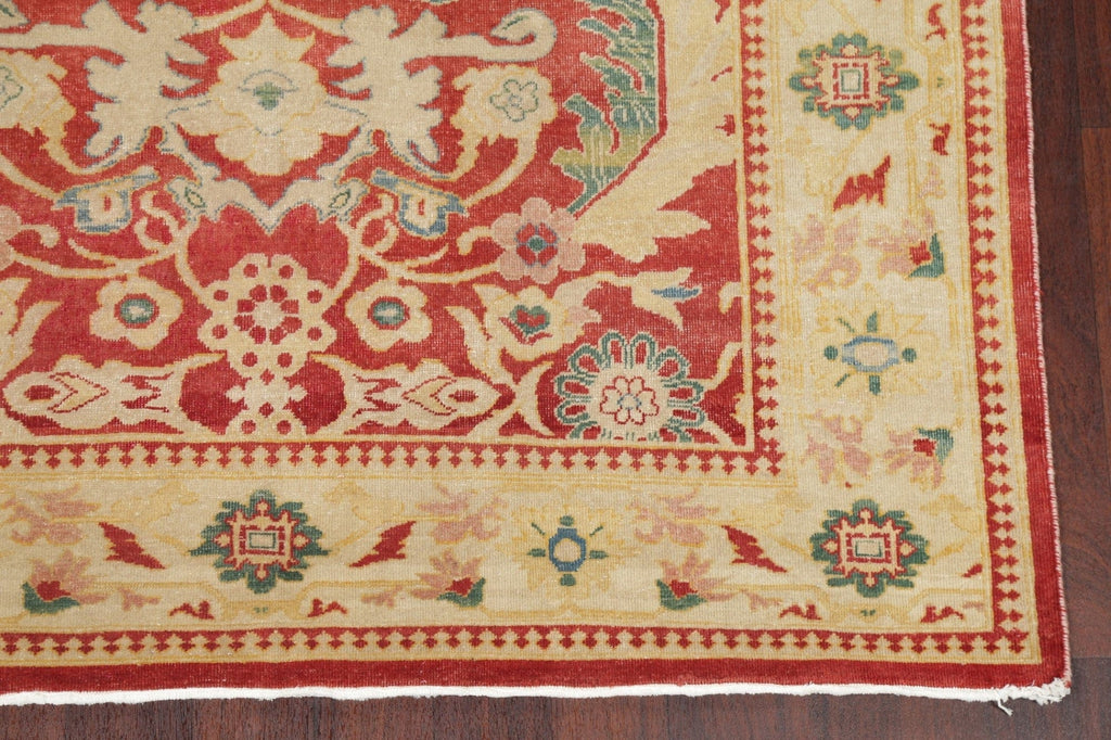 Floral Red Oushak Egyptian Area Rug 6x9