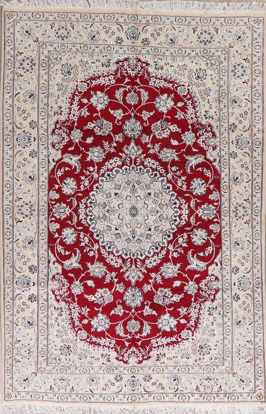 Floral Red Nain Persian Area Rug 6x10