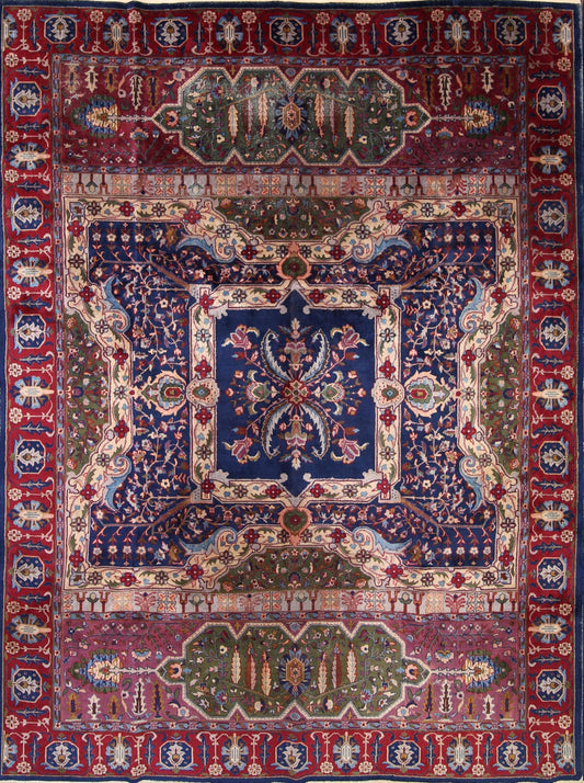 9x12 Agra Oriental Area Rug