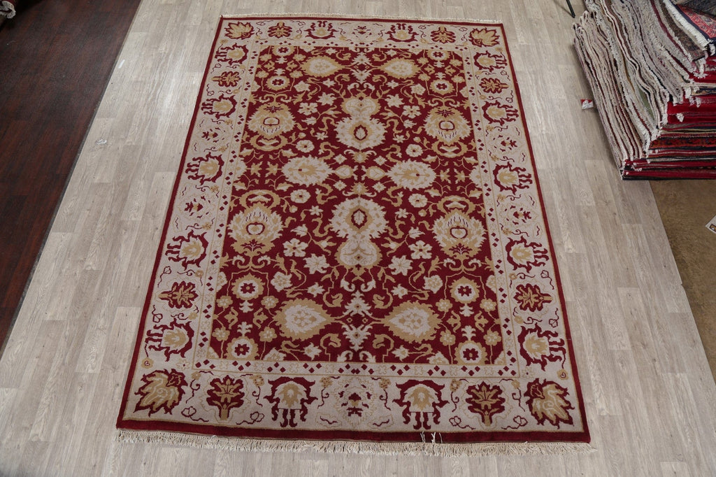 All-Over Red Floral Ziegler Oriental Area Rug 8x11