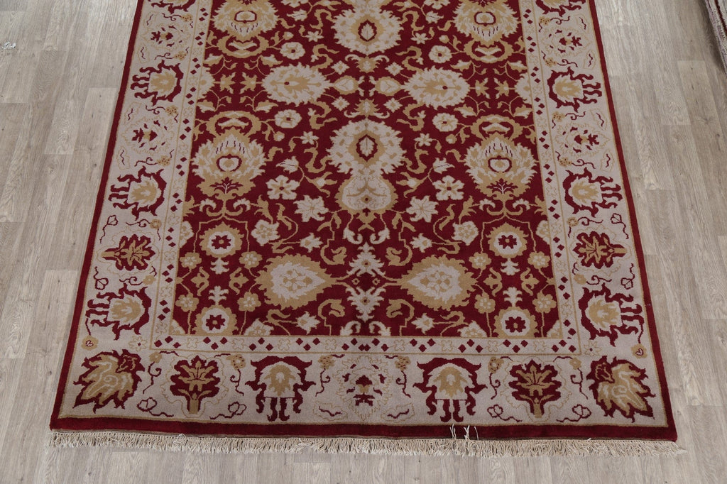 All-Over Red Floral Ziegler Oriental Area Rug 8x11