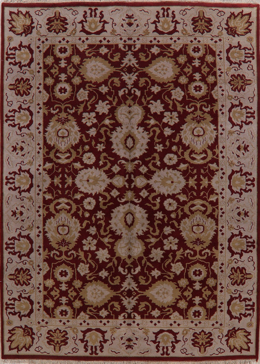 All-Over Red Floral Ziegler Oriental Area Rug 8x11