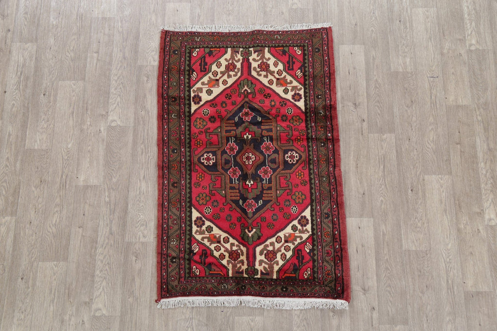 Geometric Hamedan Persian Area Rug 3x5